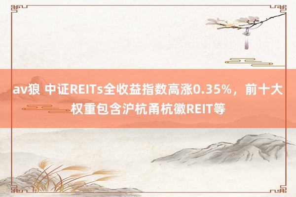 av狼 中证REITs全收益指数高涨0.35%，前十大权重包含沪杭甬杭徽REIT等