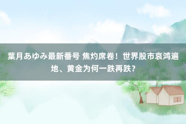 葉月あゆみ最新番号 焦灼席卷！世界股市哀鸿遍地、黄金为何一跌再跌？